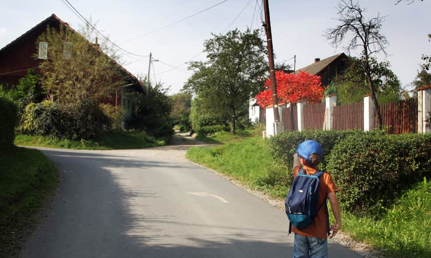 Yellow Trail to Leskowiec from Czartak