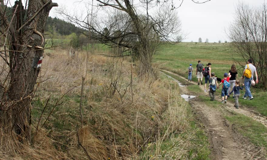 Początek szlaku z Krzeszowa na Leskowiec