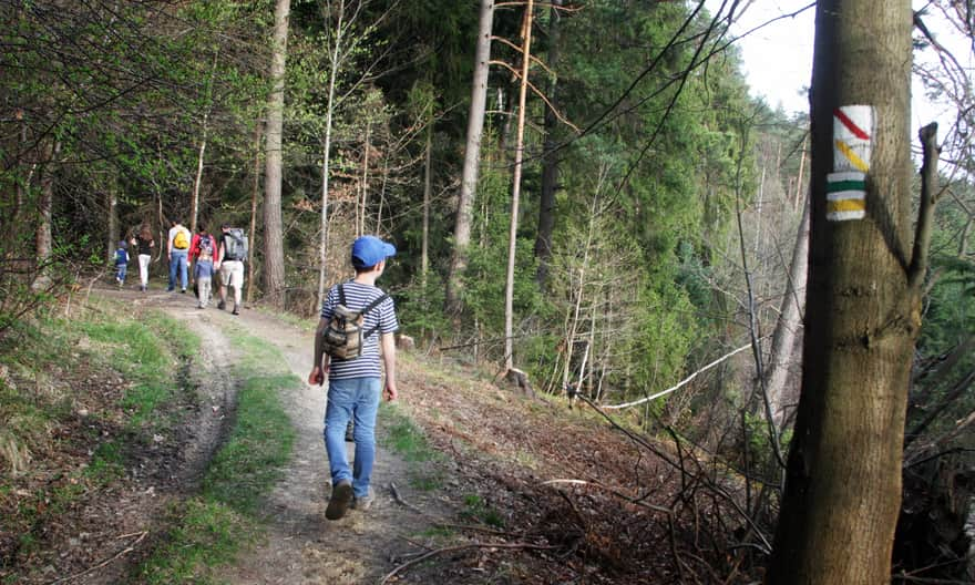 Szlaki na drodze Targoszów - Krzeszów