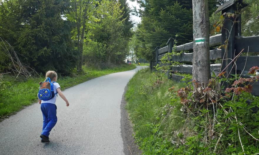 Green trail to Leskowiec from Targoszów