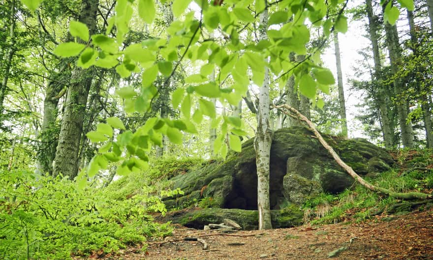 Nasza ulubiona jaskinia na "szlaku skałek":  tzw. Wędrujące Kamienie niedaleko Przełęczy Beskidek i Portójnej (847 m n.p.m.)