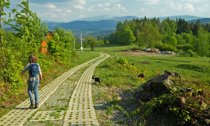 Żółty szlak Leskowiec - Targoszów