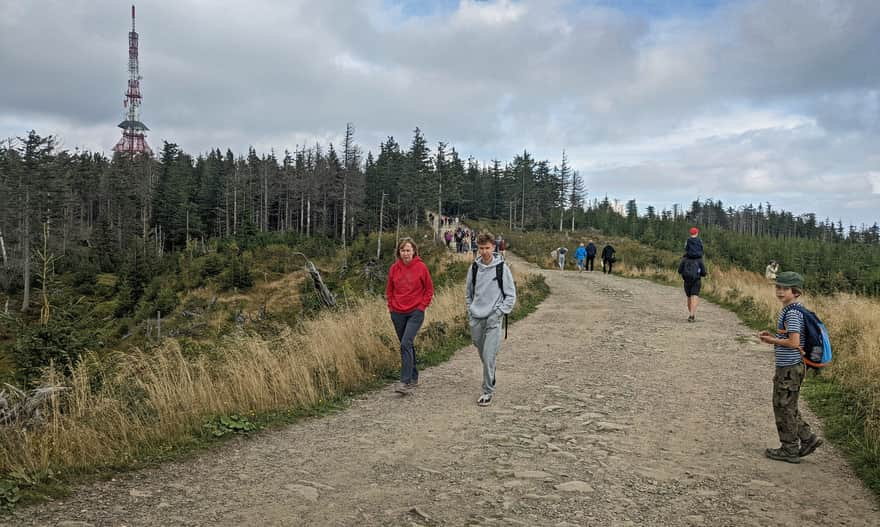 Ridge path: Zbójnicka Kopa - Małe Skrzyczne - Skrzyczne