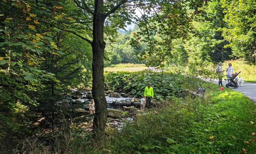 Zimnik Valley, Lipowa - playing in the water