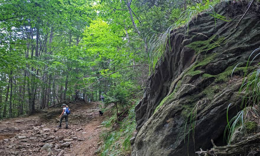 Yellow trail to Malinowska Rock