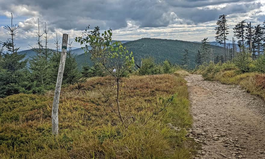 Green trail to Malinowska Rock - views "behind the back"