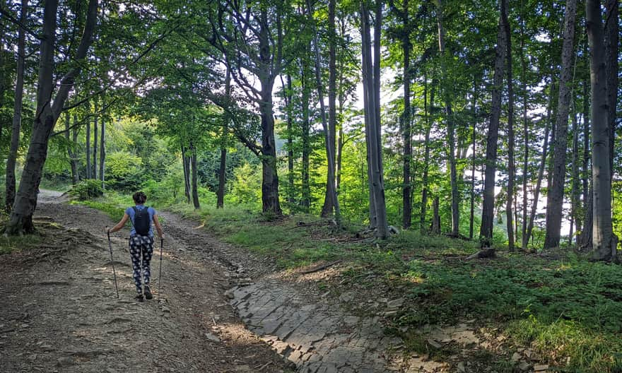 Blue trail to Skrzyczne from Lipowa