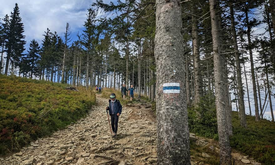 Blue trail to Skrzyczne from Lipowa