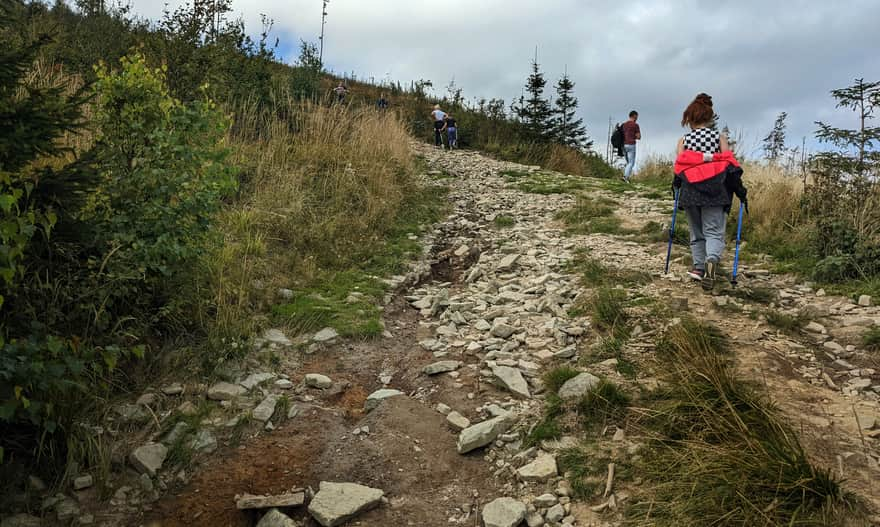 Blue trail to Skrzyczne from Lipowa - climbing in the open area