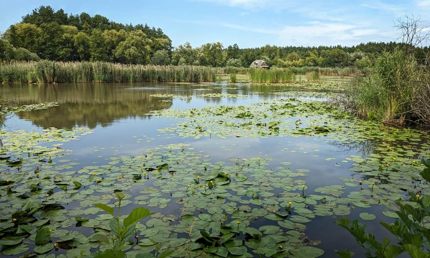 Staw na terenie skansenu, w oddali budynek młyna