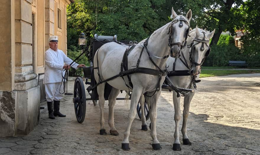 Muzeum Zamek w Łańcucie - przejażdżki bryczką