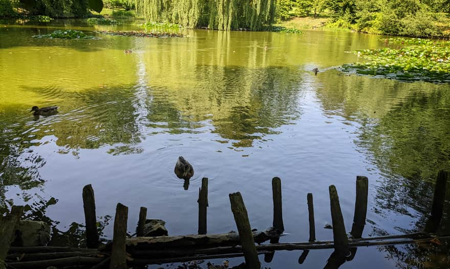 Park Zamkowy w Łańcucie - park zewnętrzny