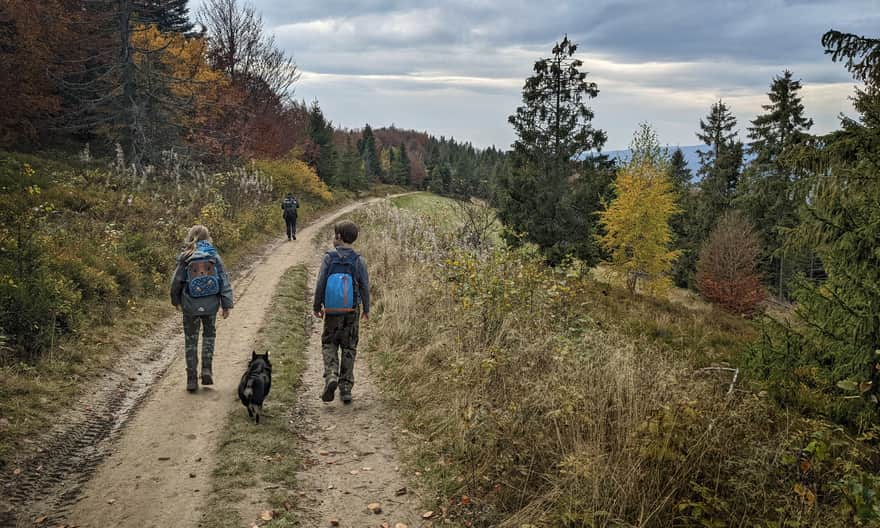 Green trail to Luban from Ochotnica Dolna - ridge road