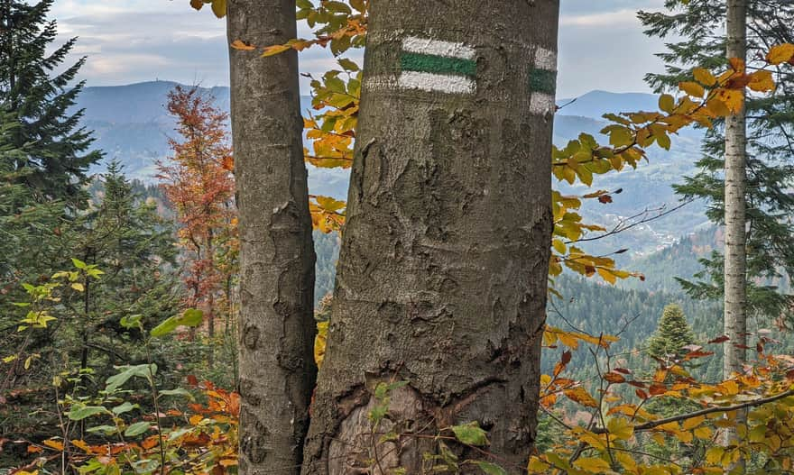 Green trail to Luban from Ochotnica Dolna - "window"