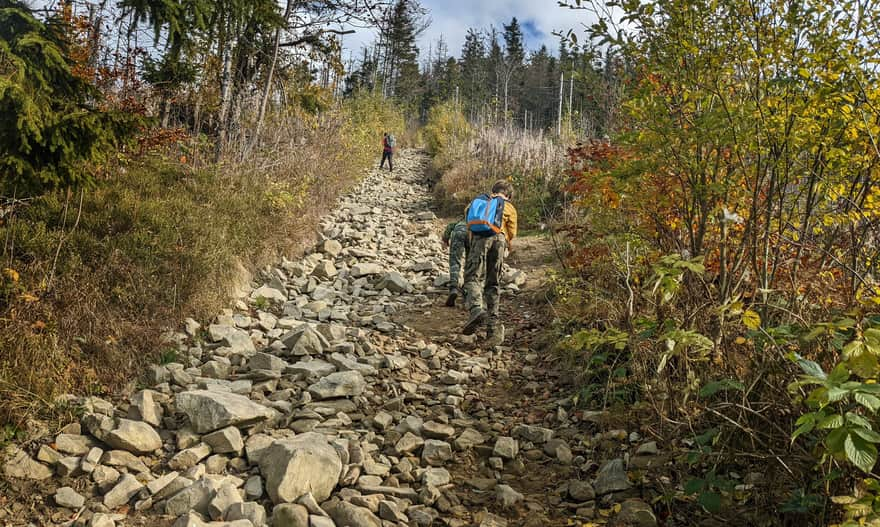 Climbing to the top of Lubań from the west (red, blue and green trail)