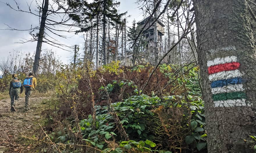 Trails to Lubań- steep ascent to the peak