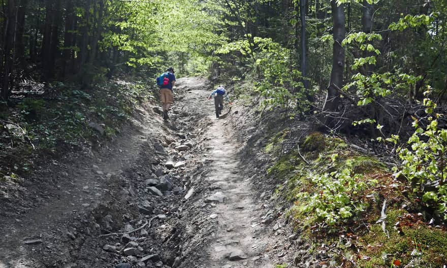 Blue trail to Gorc - the first "stairs"