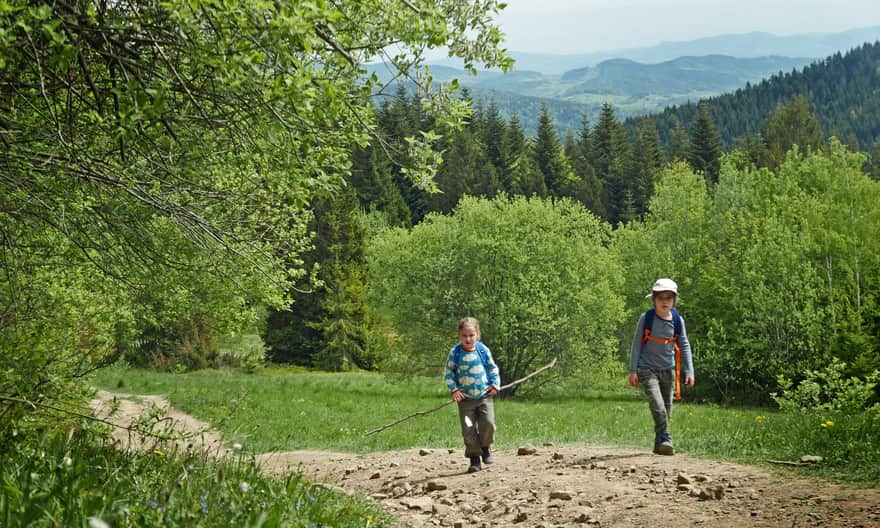 Blue trail to Gorc - upper part of Nowa Polana