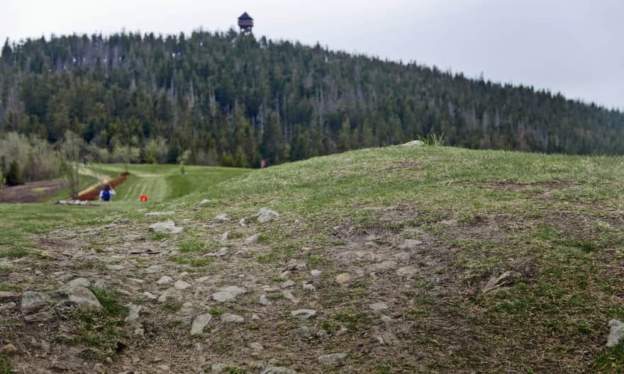 Blue trail to Gorc - the tower is already visible!