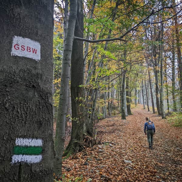 Green Trail to Ciecień from Wiśniowa