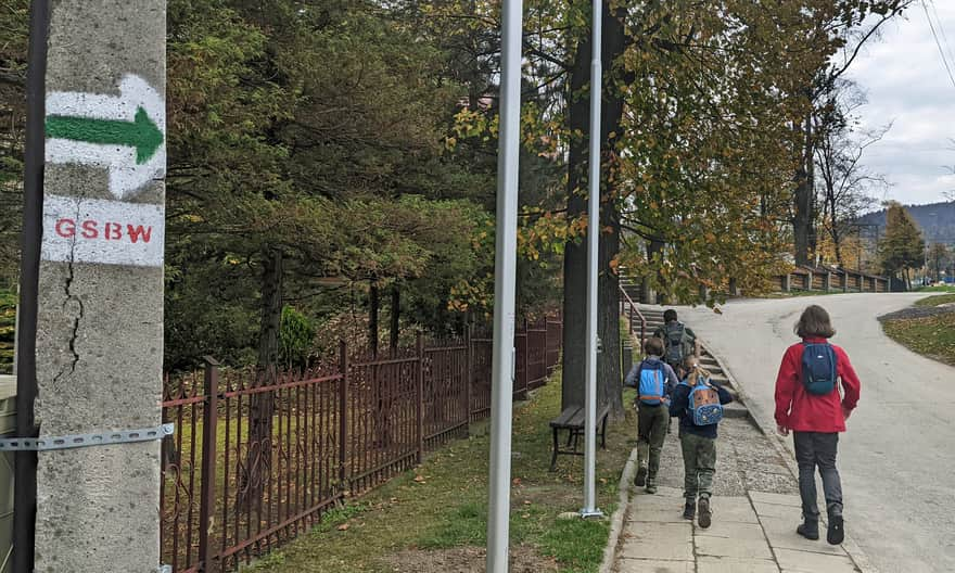 Zielony szlak Wiśniowa - Ciecień