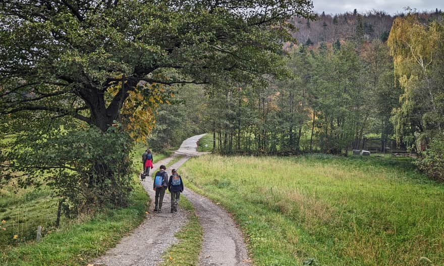 Zielony szlak Wiśniowa - Ciecień, polanka przed wejściem w las