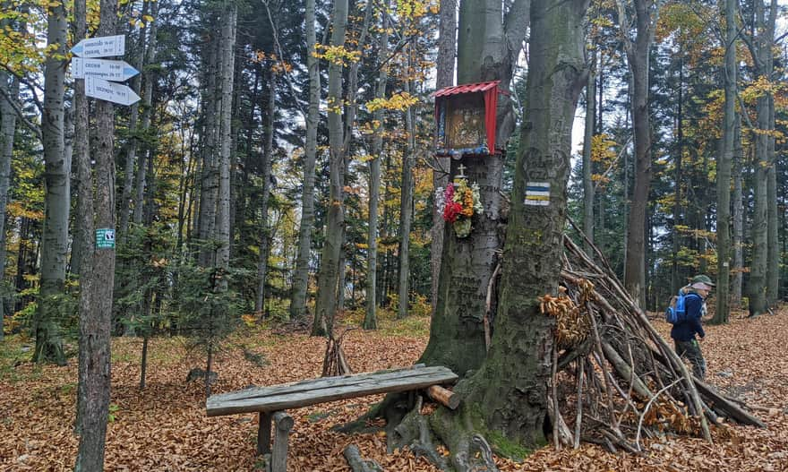 Skrzyżowanie szlaków pod Księżą Górą (niebieski grzbietowy i żółty łączący Szczyrzyc z Wiśniową