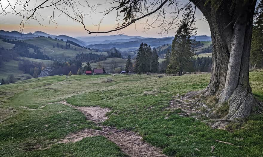 Yellow trail from Biała Woda to Przełęcz Rozdziela