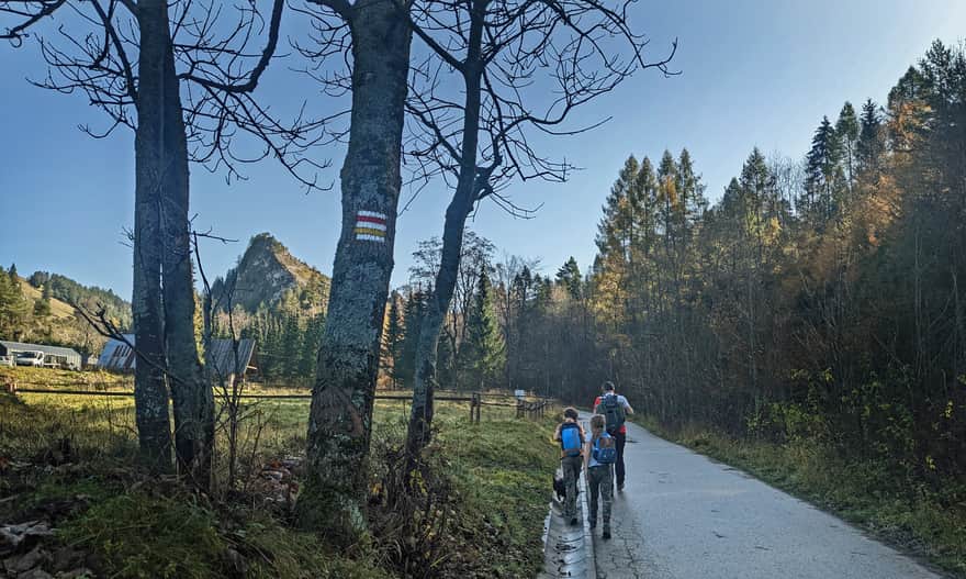 Red trail in Jaworki - start of the hike to Radziejowa