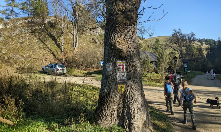 Intersection of the red and yellow trails (this parking is for forestry services only)