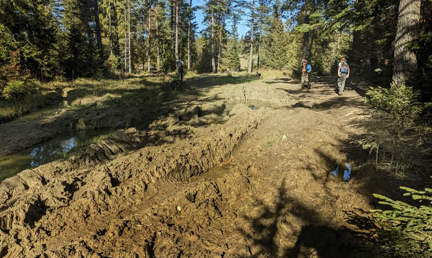 Red trail Jaworki - Piwniczna, near Jasielnik