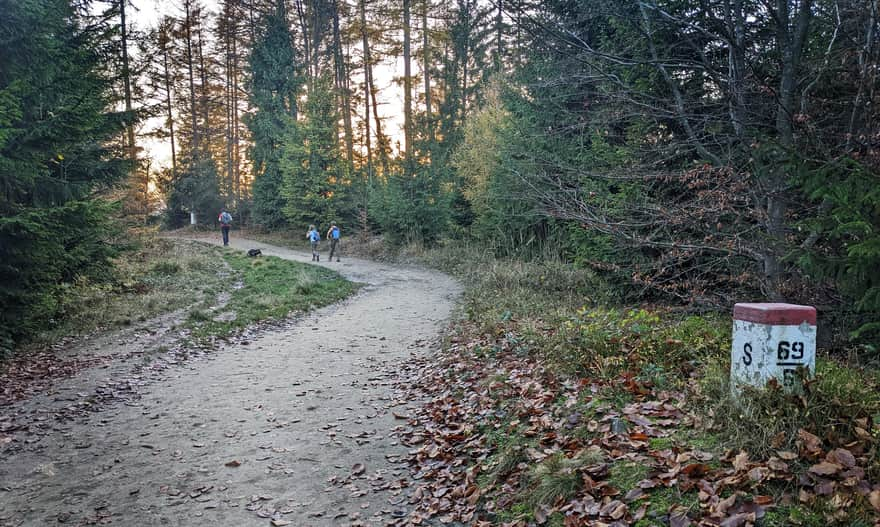 Blue trail Rozdziela Pass - Obidza