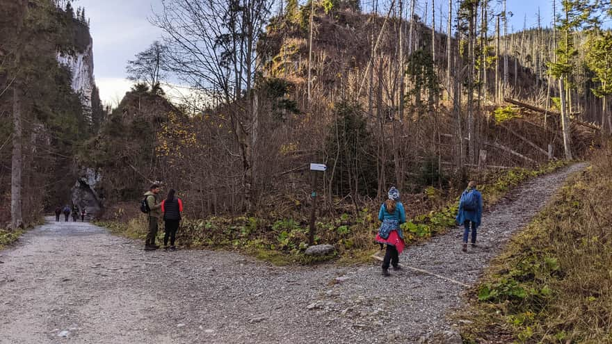 Start of the blue trail to Hala Stoły in the Kościeliska Valley