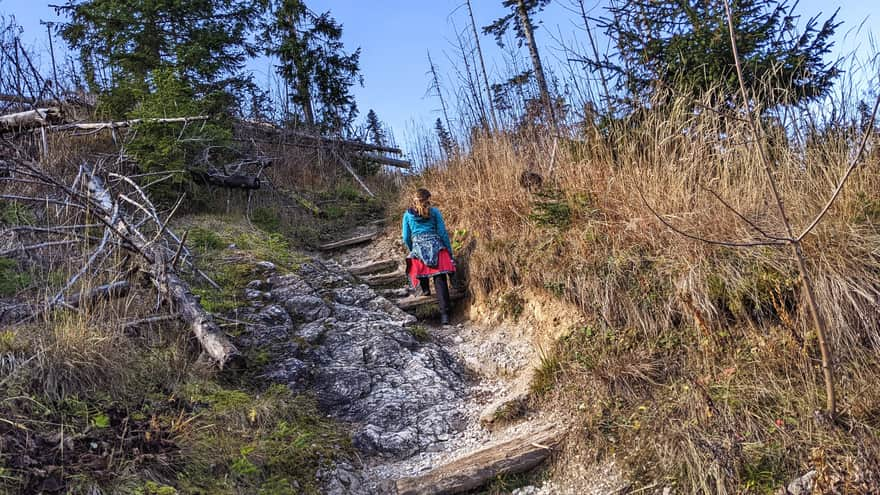 Trail to Hala Stoły