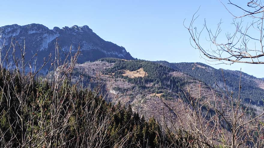 Hala Stoły seen from the Red Trail to Ciemniak