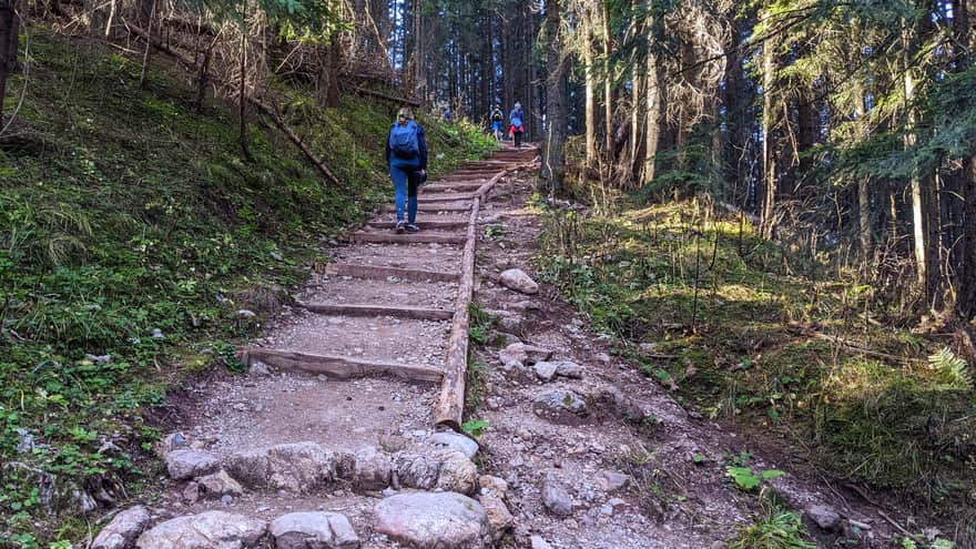 Ascent on the red trail to Przysłop Miętusi