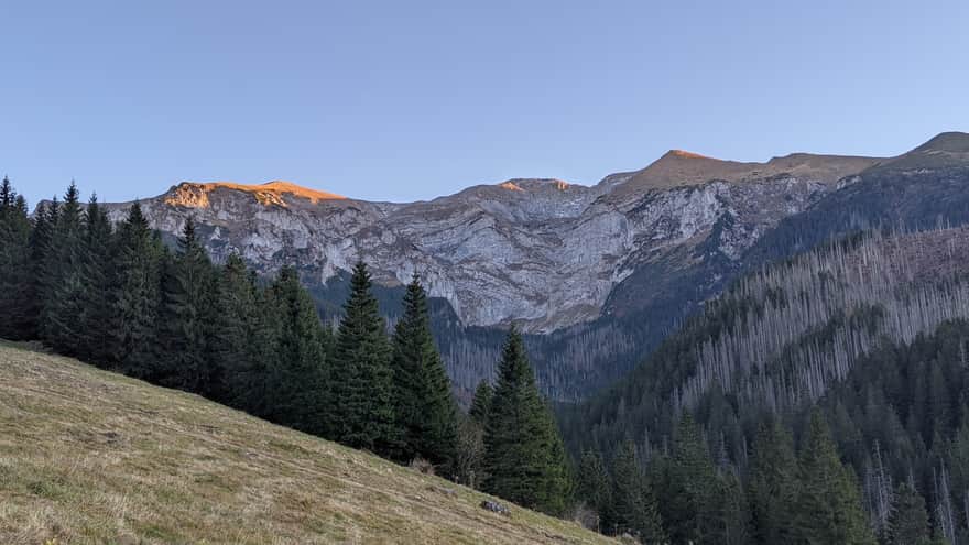 View of the Czerwone Wierchy from Przysłop Miętusi