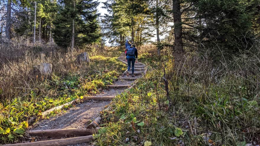Ascent on the red trail to Przysłop Miętusi