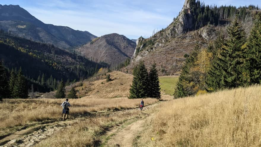 Przysłop Miętusi - descent towards Dolina Kościeliska (Kościeliska Valley)