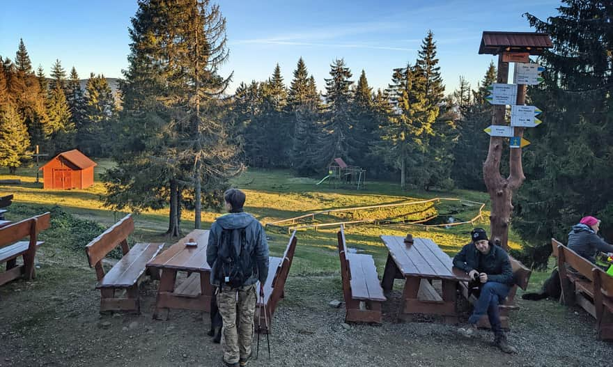 Lipowska Hall - area in front of the shelter