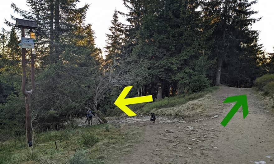 Fork in the yellow and green trails after Lipowska Hall