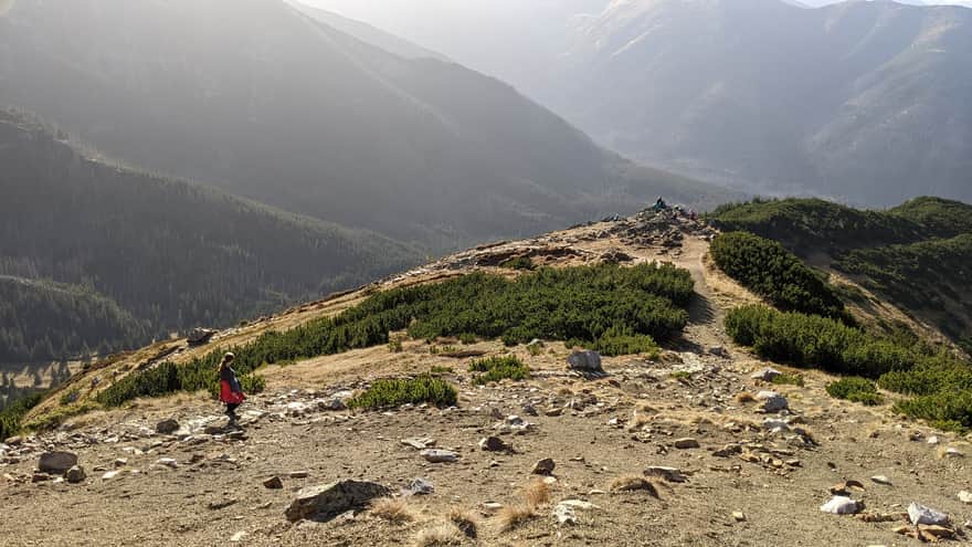 High Ridge