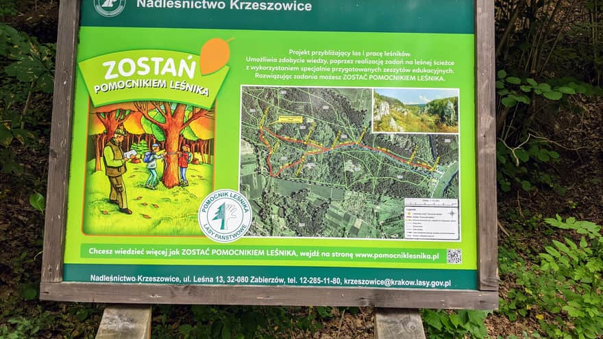 Mapa ścieżki