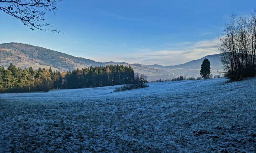 Clearing along the black trail to Szczebel from Lubien