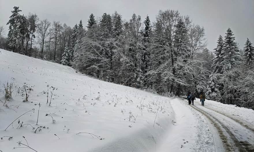 From Poreba to Kudlacze - winter