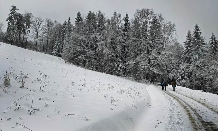 Z Poręby na Kudłacze - zima