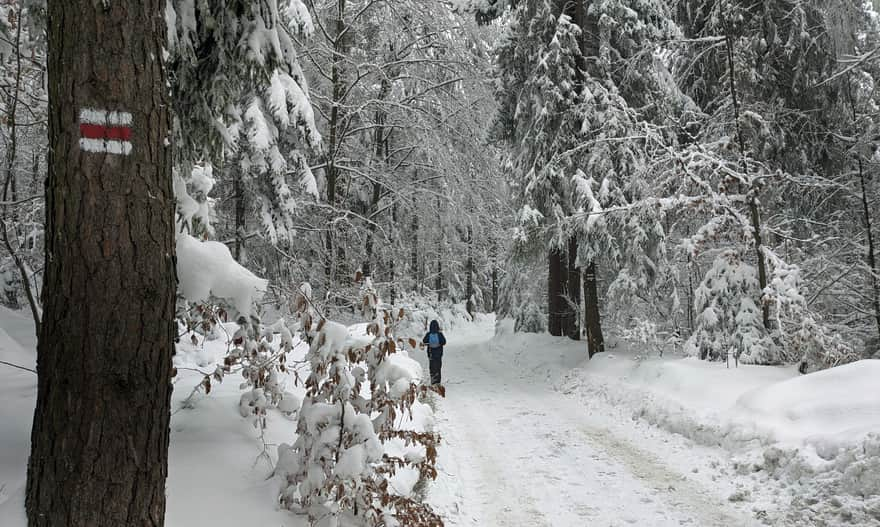 Red trail to Polana Kudlacze