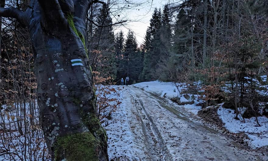 Zielony szlak Obidowa - Stare Wierchy