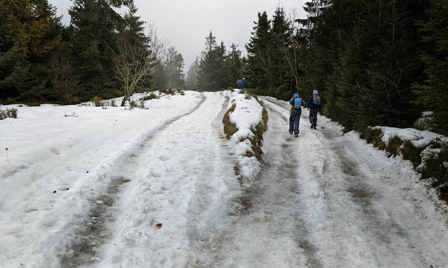 Path between Bukowina Obidowska and Bukowina Miejska (black trail)