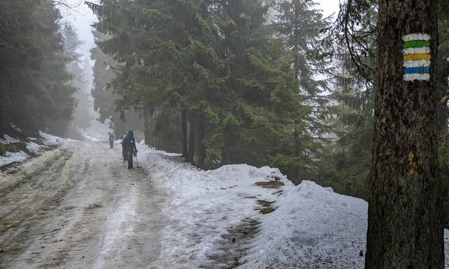 On the way to Turbacz - Wisielakówka